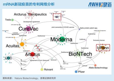 中國本土mRNA技術 差距、突破與未來之路