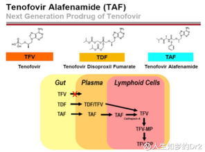 人生如夢(mèng)的DR2 吉利德為何為HIV新藥動(dòng)用第二張?zhí)靸r(jià)優(yōu)先審評(píng)券？